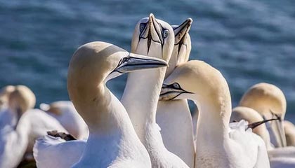 开云官方-街头篮球争霸赛，草根英雄同台竞技，街头篮球联赛